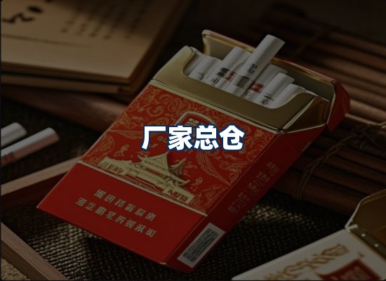 专业团队办公环境